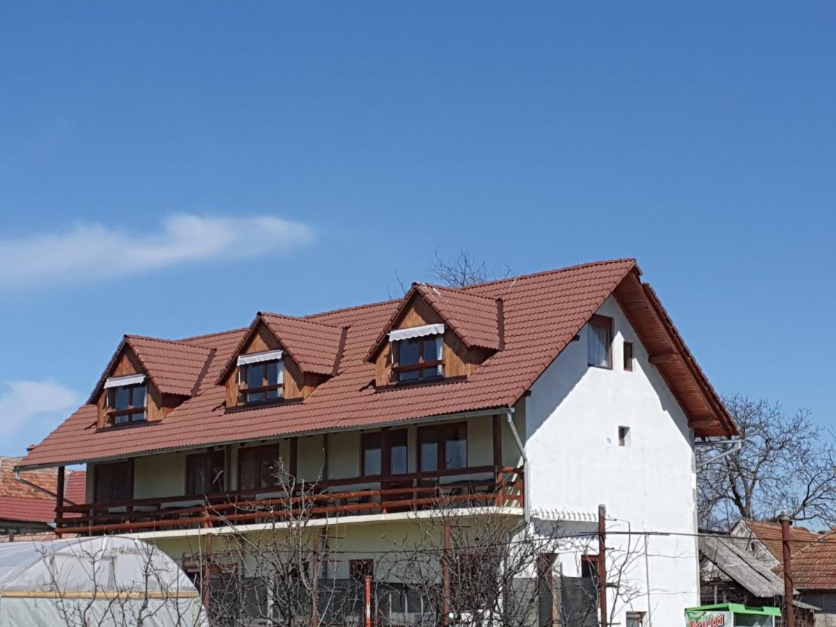 Pensiunea Leia Transfagarasan Cartisoara Exterior photo